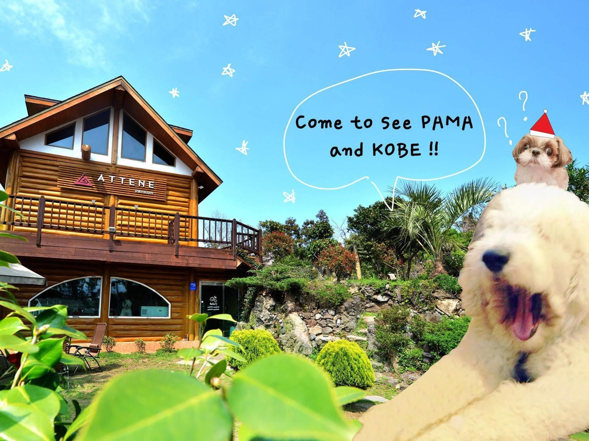 Attene Pension Jeju Exterior foto
